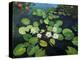 Water Lilies-kirilstanchev-Stretched Canvas