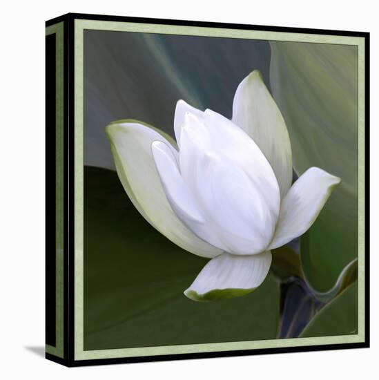 Water Lily on Pads II-Catherine Kohnke-Stretched Canvas