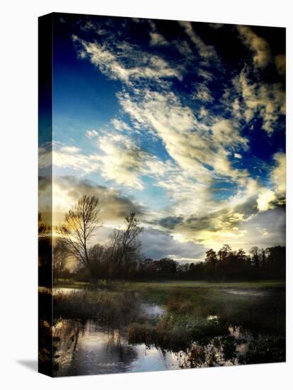 Water Meadow-Tim Kahane-Premier Image Canvas