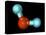 Water, Molecular Model-Laguna Design-Premier Image Canvas