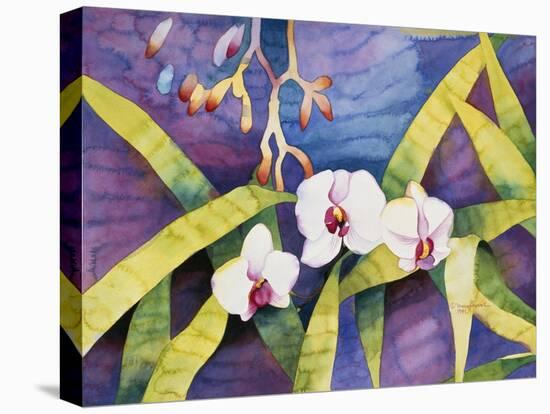 Water Orchids-Mary Russel-Premier Image Canvas