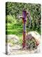 Water Pump Falmer Pond-Dorothy Berry-Lound-Premier Image Canvas