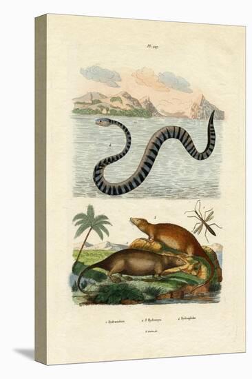 Water Rat, 1833-39-null-Premier Image Canvas