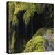 Water Running down Vegetation Covered Rocks-Micha Pawlitzki-Premier Image Canvas