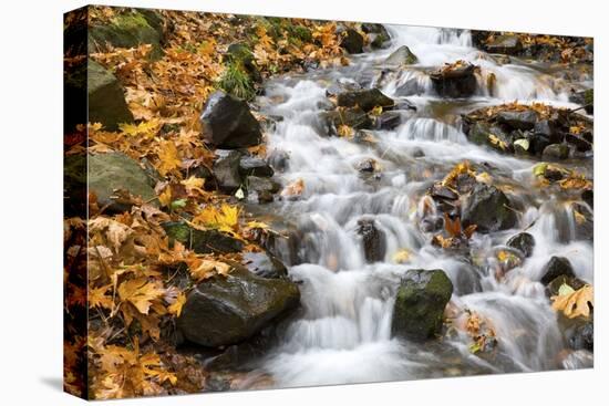 Water Running over Rocks in Wahkeena Creek-Craig Tuttle-Premier Image Canvas