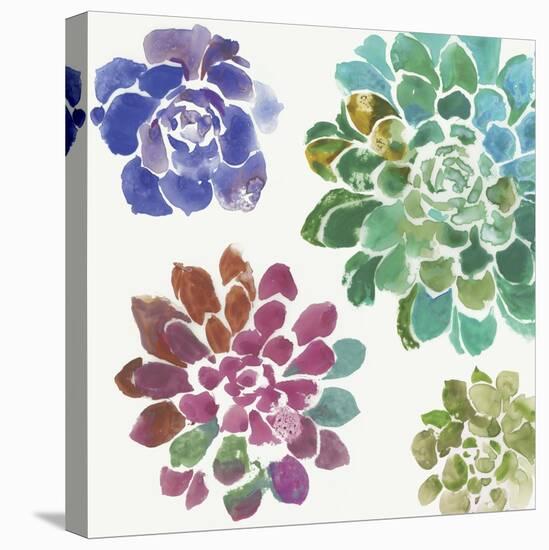 Water Succulents II-Aimee Wilson-Stretched Canvas