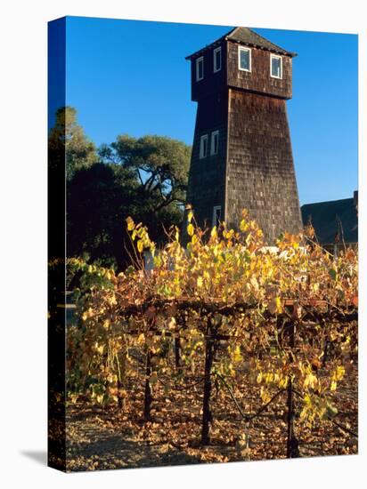 Water Tank Tower at the Handley Cellars Winery, Mendocino County, California, USA-John Alves-Premier Image Canvas