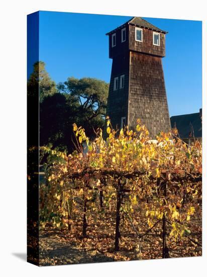 Water Tank Tower at the Handley Cellars Winery, Mendocino County, California, USA-John Alves-Premier Image Canvas