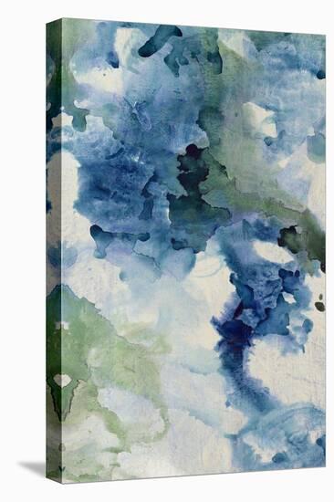 Water Variations II-Kari Taylor-Premier Image Canvas