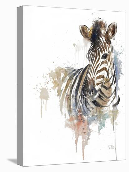 Water Zebra-Patricia Pinto-Stretched Canvas