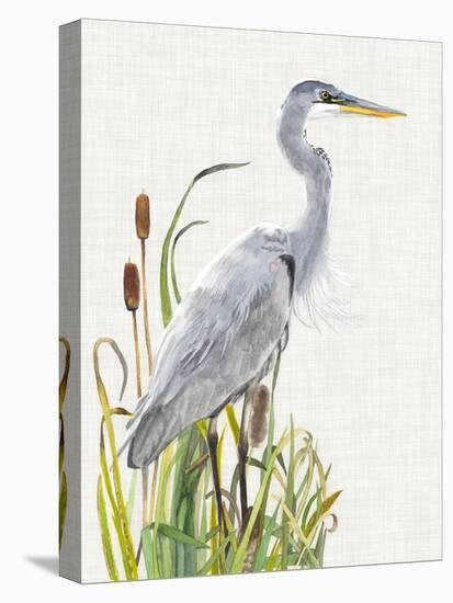 Waterbirds & Cattails I-Naomi McCavitt-Stretched Canvas