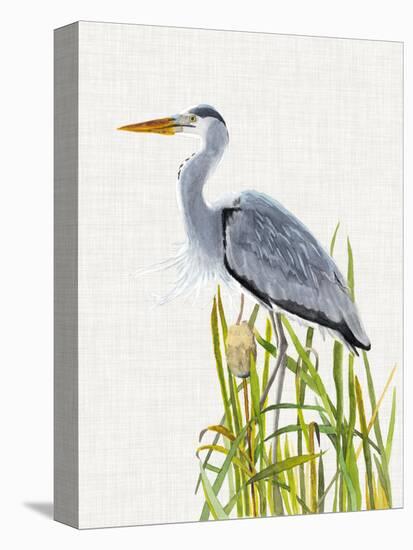 Waterbirds & Cattails II-Naomi McCavitt-Stretched Canvas