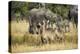 Waterbucks (Kobus Ellipsiprymnus) and African Bush Elephants (Loxodonta Africana)-Michael Runkel-Premier Image Canvas