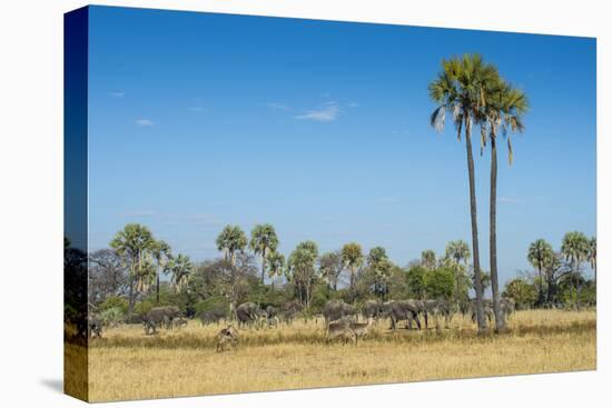 Waterbucks (Kobus Ellipsiprymnus) in Front of African Bush Elephants (Loxodonta Africana)-Michael Runkel-Premier Image Canvas