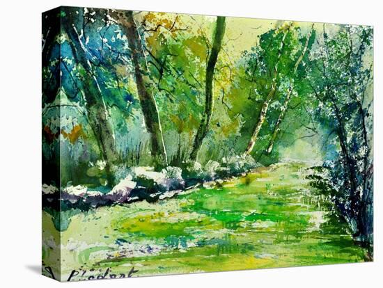 Watercolor 019031-Pol Ledent-Stretched Canvas