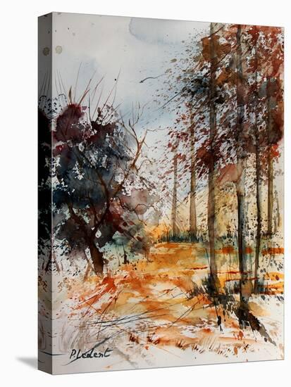 Watercolor 040902-Pol Ledent-Stretched Canvas