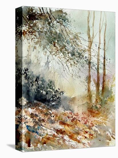 Watercolor 080605-Pol Ledent-Stretched Canvas