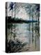 Watercolor 191205-Pol Ledent-Stretched Canvas