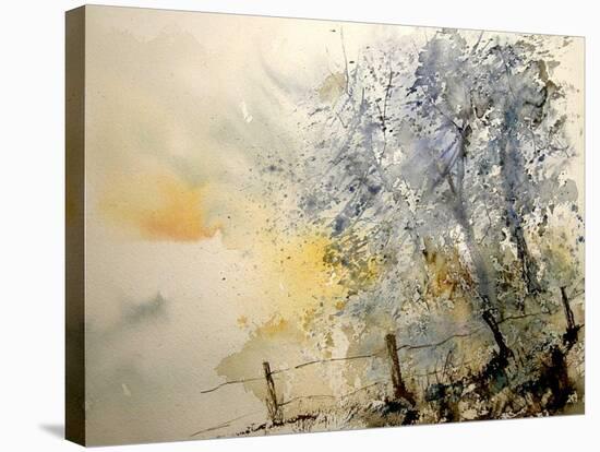 Watercolor 240505-Pol Ledent-Stretched Canvas