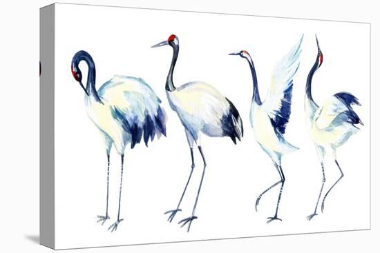 Watercolor Asian Crane Bird Set-tanycya-Stretched Canvas