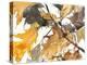 Watercolor Autumn Leaves I-Samuel Dixon-Stretched Canvas