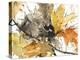 Watercolor Autumn Leaves II-Samuel Dixon-Stretched Canvas