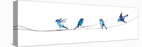 Watercolor Birds 2-Ben Gordon-Premier Image Canvas