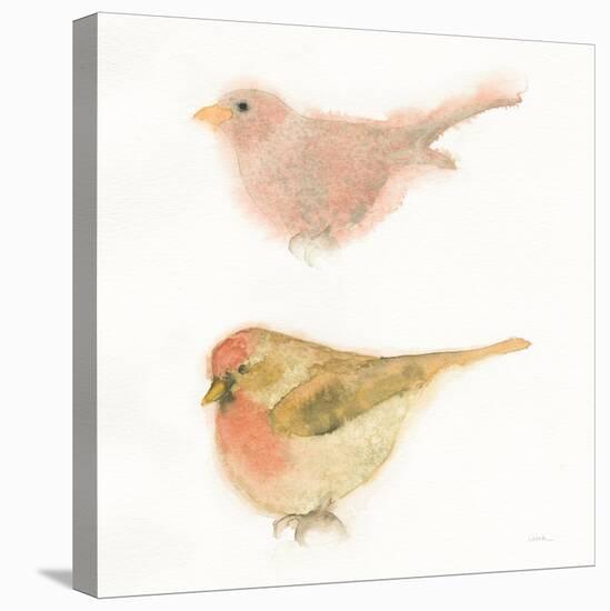 Watercolor Birds II Sq-Shirley Novak-Stretched Canvas