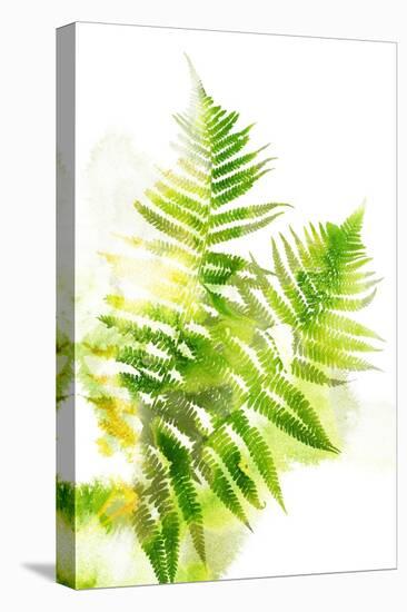 Watercolor Botanicals 3-THE Studio-Premier Image Canvas
