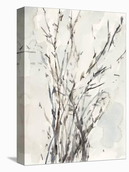 Watercolor Branches I-Samuel Dixon-Stretched Canvas