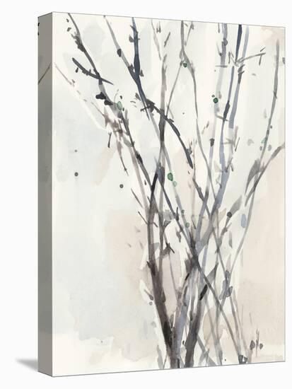 Watercolor Branches II-Samuel Dixon-Stretched Canvas