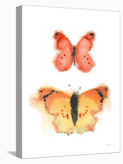 Watercolor Butterflies IV-Shirley Novak-Stretched Canvas