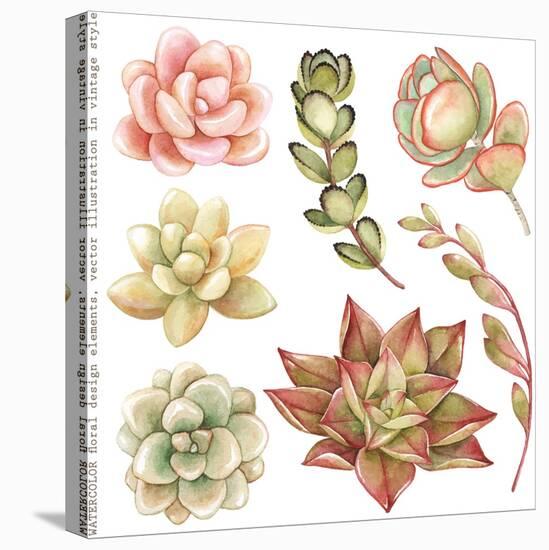 Watercolor Collection of Succulents and Kalanchoe for Your Design, Hand-Drawn Illustration.-Nikiparonak-Stretched Canvas