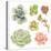 Watercolor Collection of Succulents for Your Design, Hand-Drawn Illustration.-Nikiparonak-Stretched Canvas