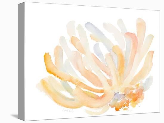 Watercolor Coral-Lanie Loreth-Stretched Canvas