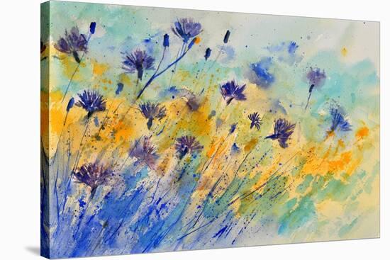 Watercolor Cornflowers-Pol Ledent-Stretched Canvas