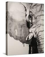 Watercolor Elephant-Sillier than Sally-Stretched Canvas