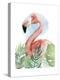 Watercolor Flamingo Composition II-Grace Popp-Stretched Canvas