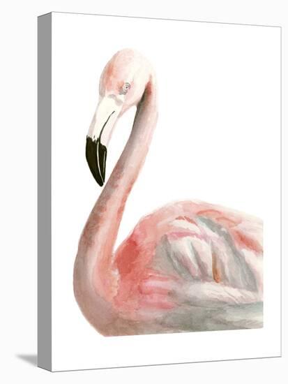 Watercolor Flamingo-Naomi McCavitt-Stretched Canvas