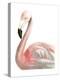 Watercolor Flamingo-Naomi McCavitt-Stretched Canvas