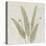 Watercolor Forest Ferns II v2-Albena Hristova-Stretched Canvas