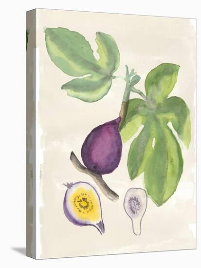 Watercolor Fruit I-Naomi McCavitt-Stretched Canvas