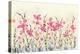 Watercolor Garden-Elyse DeNeige-Stretched Canvas