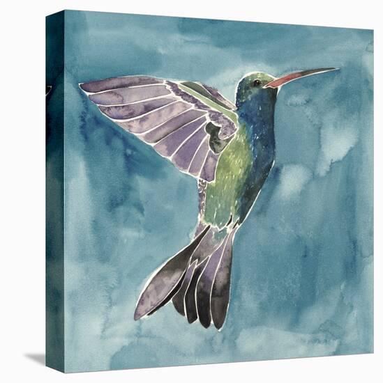 Watercolor Hummingbird I-Grace Popp-Stretched Canvas