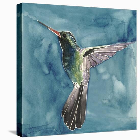 Watercolor Hummingbird II-Grace Popp-Stretched Canvas