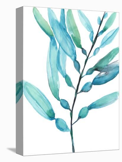 Watercolor Kelp I-Jennifer Goldberger-Stretched Canvas