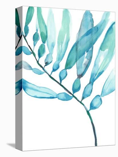 Watercolor Kelp II-Jennifer Goldberger-Stretched Canvas