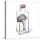 Watercolor Mushroom in Glass Bottle-Eisfrei-Stretched Canvas