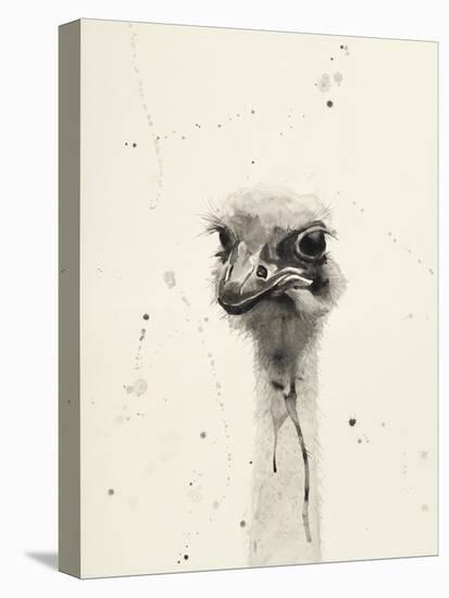 Watercolor Ostrich 2-Ben Gordon-Premier Image Canvas