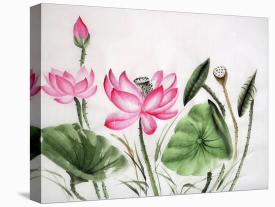 Watercolor Painting Of Pink Lotus-Surovtseva-Stretched Canvas